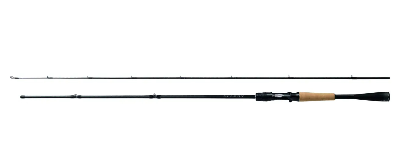 DAIWA BLAZON - CASTING
