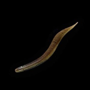 GEECRACK BELLOWS STICK 3.8"