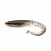 #Glitter burbot