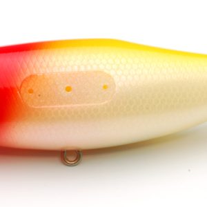 Alternative view of RAID JAPAN DODGE