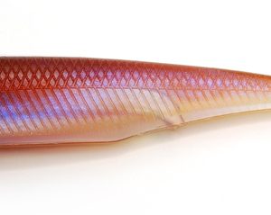 RAID JAPAN FISH ROLLER 3" - immagine 3