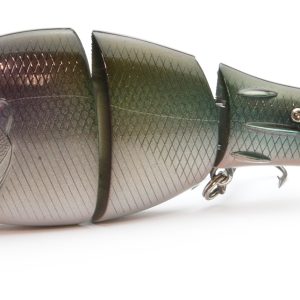 Alternative view of RAID JAPAN G.DASH