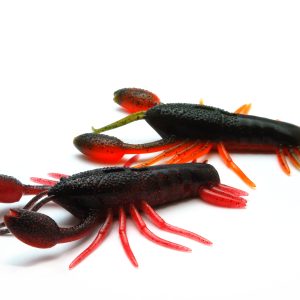 RAID JAPAN ZARIGANIST JR.