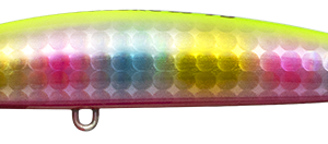 Alternative view of IMA SASUKE SF 95