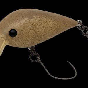 Alternative view of NORIES MEET 33DR-F