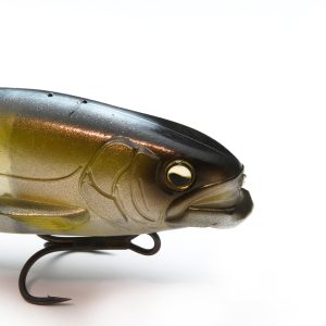 Alternative view of RAID JAPAN OSAKANA SLIDE 170