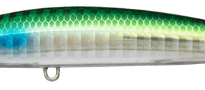 Alternative view of IMA SASUKE SS 95