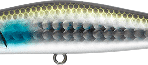 Alternative view of IMA YOICHI 80