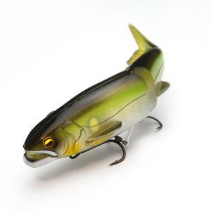 RAID JAPAN OSAKANA SLIDE 170