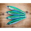 GREEN MACKEREL