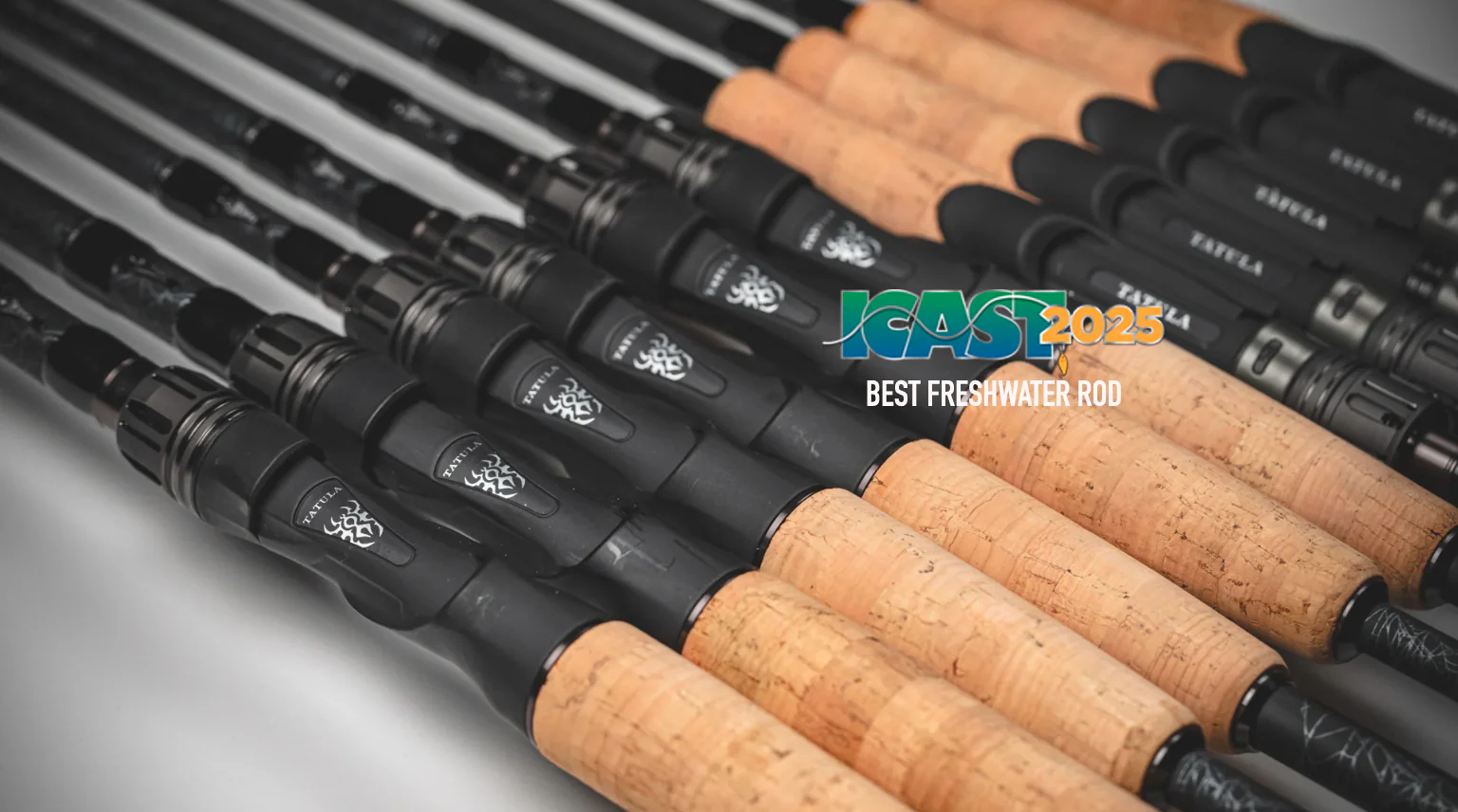 DAIWA 25 TATULA - SPINNING - immagine 2