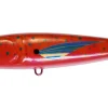 CORAL TROUT
