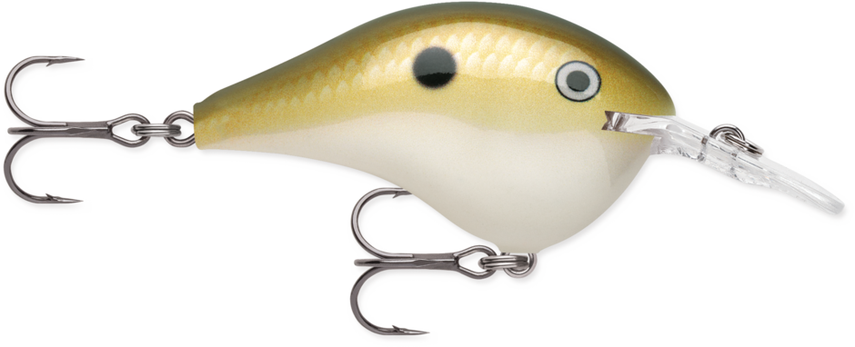RAPALA DT-6 (DIVES-TO) - immagine 6