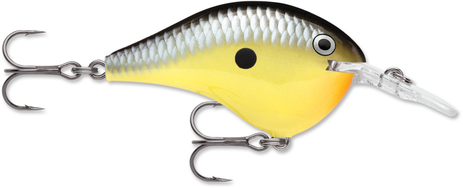 RAPALA DT-8 (DIVES-TO) - immagine 5