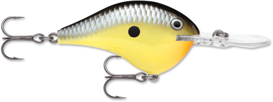 RAPALA DT-10 (DIVES-TO) - immagine 6