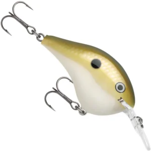 RAPALA DT-6 (DIVES-TO)
