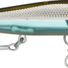 Metallic Moss Back Shiner