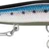 Live Blue Sardine