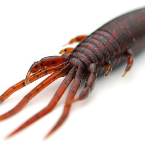 RAID JAPAN BUGGY CRAW